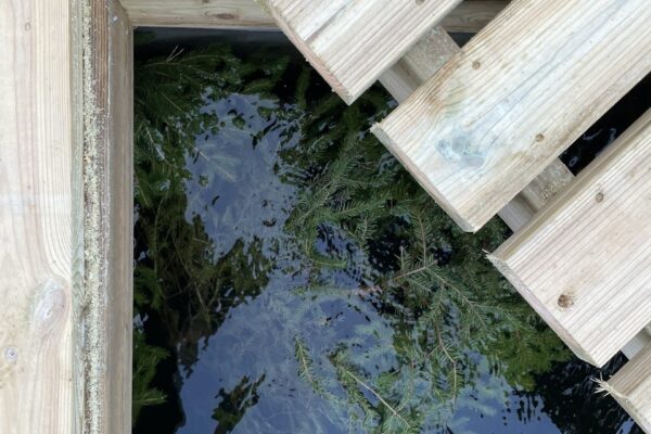 Foto: Daniel Fried, Nyréns Arkitektkontor