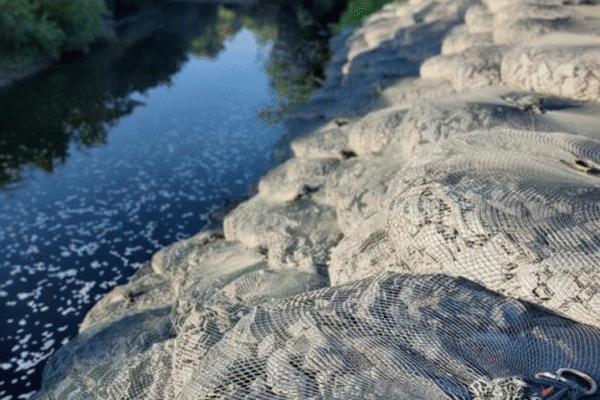 Erosionsskydd med rockbags i slänt