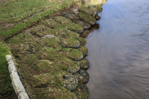 Erosionsskydd med rockbags i slänt