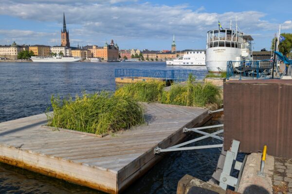Kajbalkong vid stadskaj på Söder Mälarstrand i Stockholm med växtmoduler för biologisk mångfald i vattenmiljön
