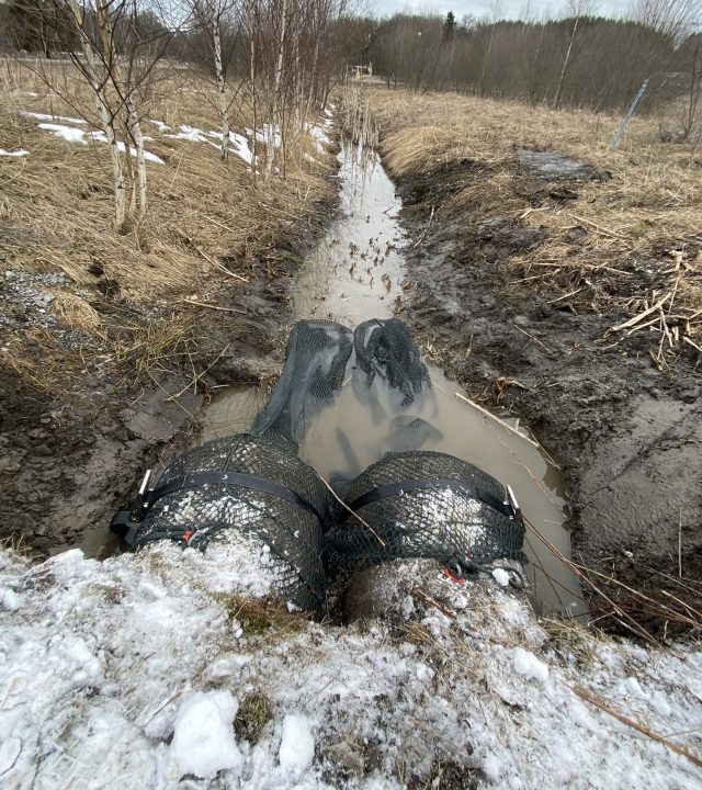 Utloppsnät